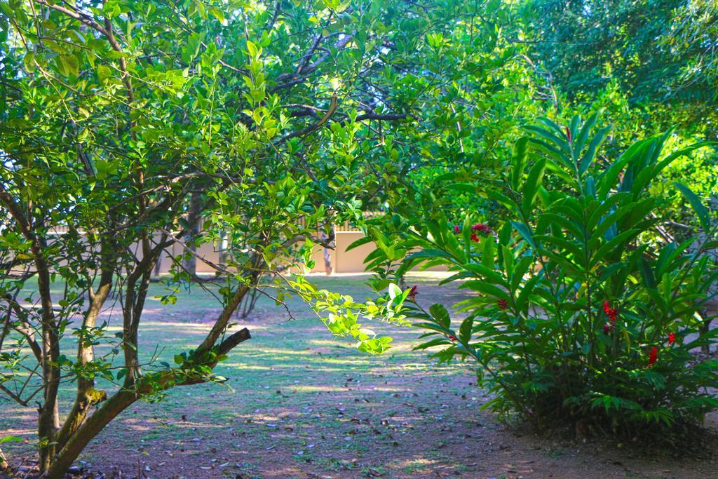 באיה סיינטה אנה Villa Saint Sauveur מראה חיצוני תמונה